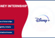 Disney Internships