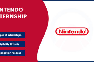 Nintendo Internship